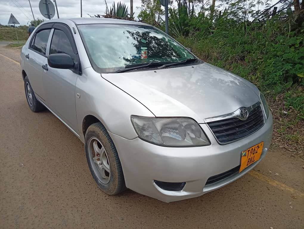 A picture of corolla