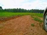 A picture of 50BY100 AT 3 5M GOBERO SEGAGGA ESTATE JUST AFTER KAKIRI