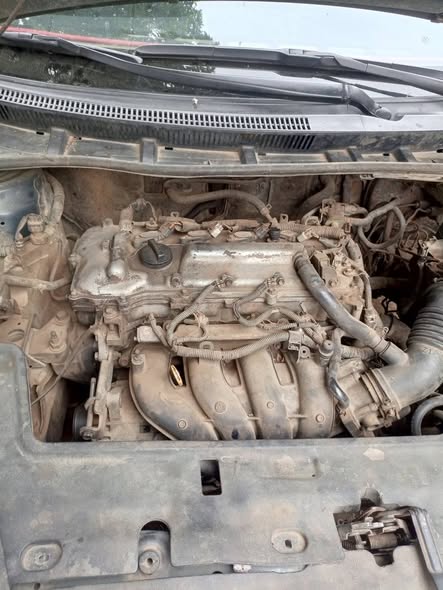 A picture of Toyota Corolla 2009