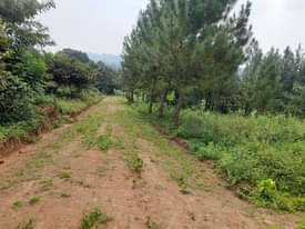 A picture of 9.6 acres for sale in Kitende Kitovu 4km from entebbe