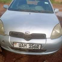 A picture of Vitz