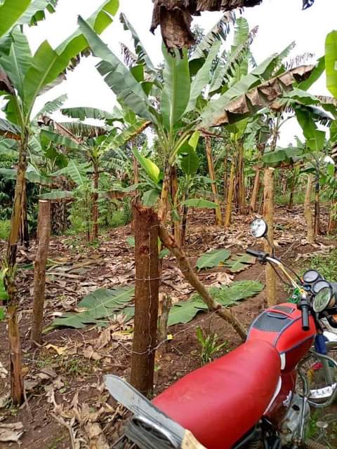 A picture of Plot for sale