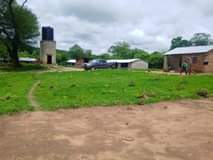 cottages