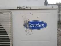 A picture of Carrie Ac