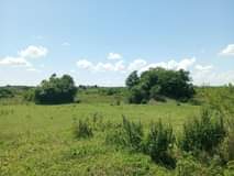 A picture of  200 Acres are available for sale in Kiboga Lwamagaali