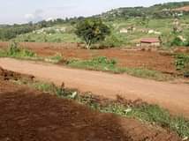 A picture of HALF LONDON ESTATE WAKISO TOWN 50BY100 WITH READY LAND TITLE
