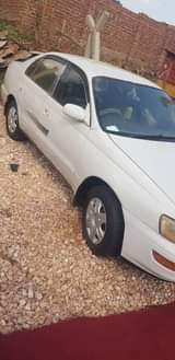 A picture of Corona__4.9m Corsa__5.5m 0705627113