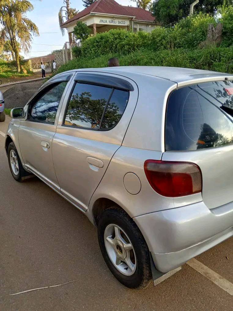 A picture of Vitz
