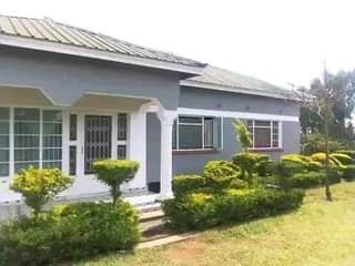 houses for sale