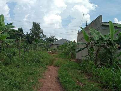 A picture of 50 100ft near tarmac is up for sale 12m located