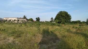 A picture of Nauza kiwanja