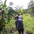 A picture of Residential plot on sale