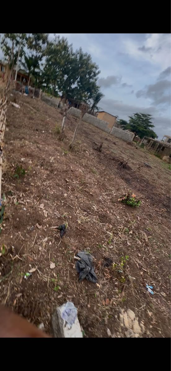 A picture of Half plot of land at imota