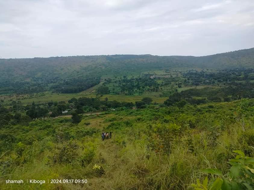 A picture of 20 acres for sale on hoima road lwamata starting from