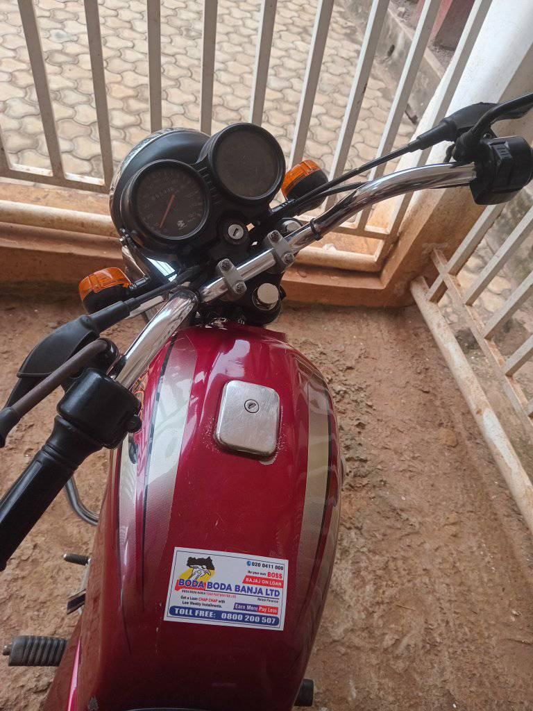 A picture of 2024 Bajaj boxer 2024