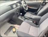 A picture of Royota runex