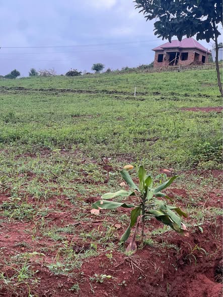 A picture of Land for sale at Mpambire Masaka road 0702 113906 0782