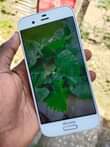 A picture of Aqous