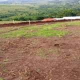 A picture of PLOTS ON SALE In Bujuuko Mityana road 2 5km from