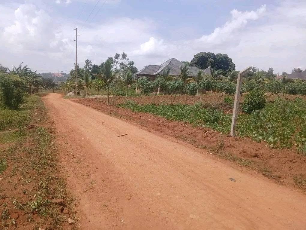 uganda plots