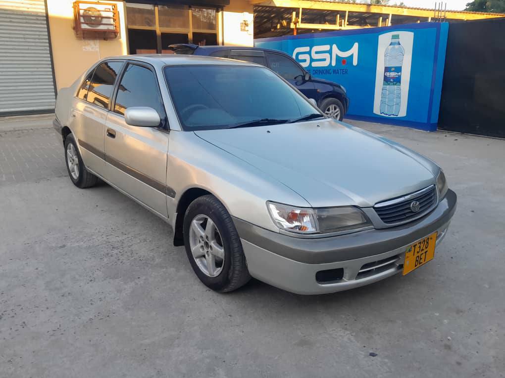 A picture of Premio old