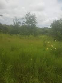 A picture of Njoo uchukue kiwanja vigwaza 20x20 laki 7 tu. Lami unaiona