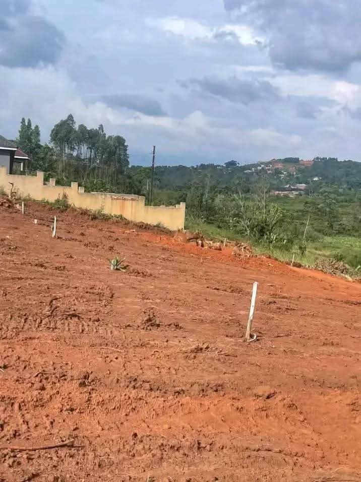 A picture of Plots