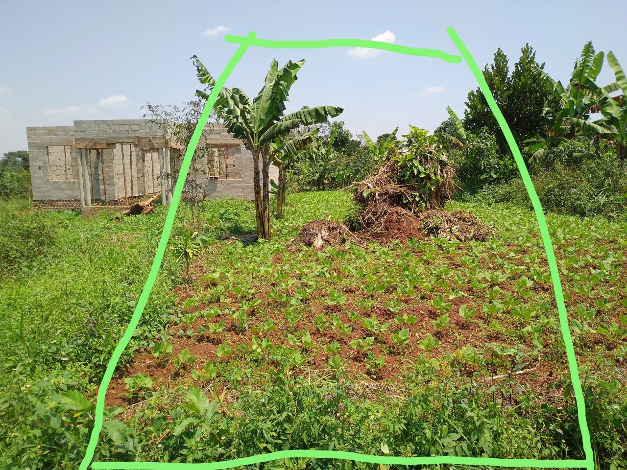 houses matugga