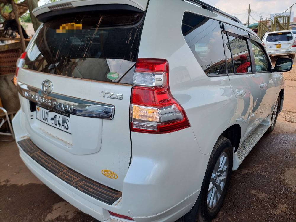 A picture of Prado TZ G 2016 At 170m