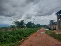 Shelter M.