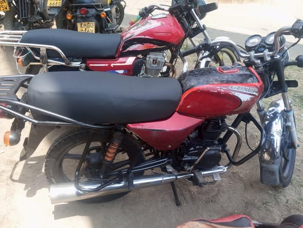 bajaj boxer