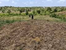 A picture of KIWANJA KINAUZWA
