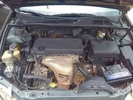 A picture of Big daddy