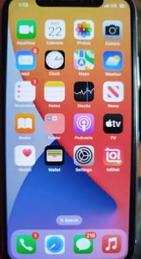 A picture of iPhone X