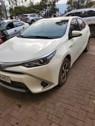 used toyota corolla