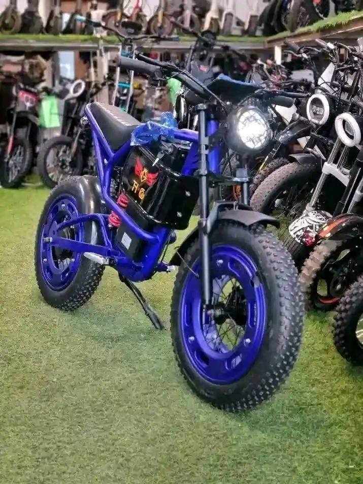 A picture of LIPA MDOGO MDOGO ELECTRIC BIKES