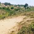 A picture of we have Plots for sale Wakiso mabombwe u branch off
