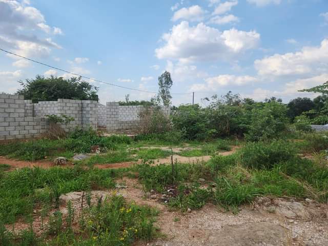 chalala
