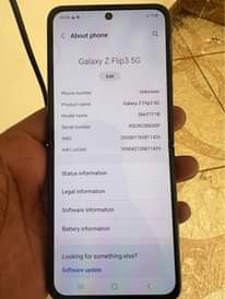 A picture of Galaxy Z flip 3