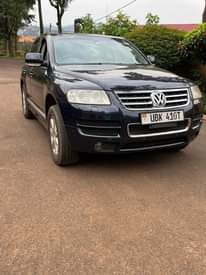 A picture of Touareg for sale