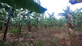 A picture of Land