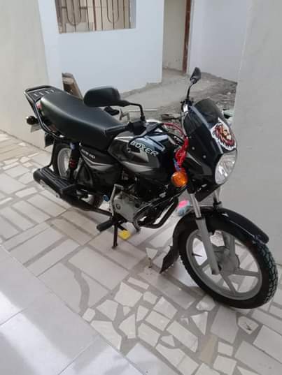 A picture of Boxer HD 125
