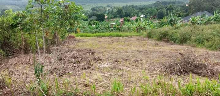 A picture of Plot 130 50