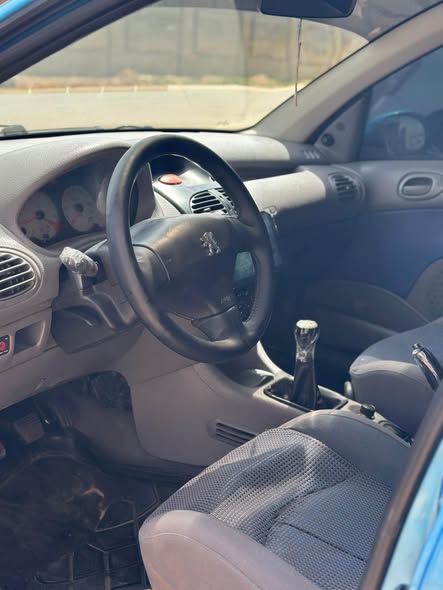A picture of Peugeot 206