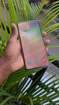 A picture of SAMSUNG GALAXY S10