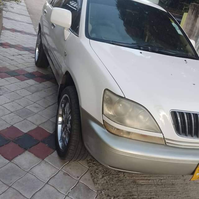 A picture of Toyota halya