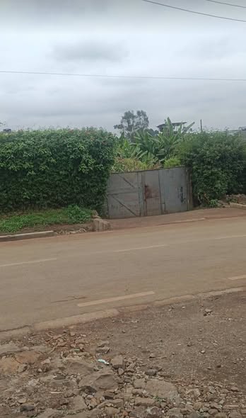 Muchiri D.