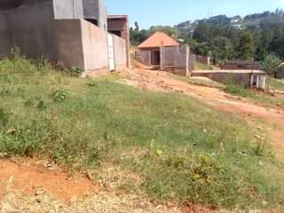Ssentumbwe B.