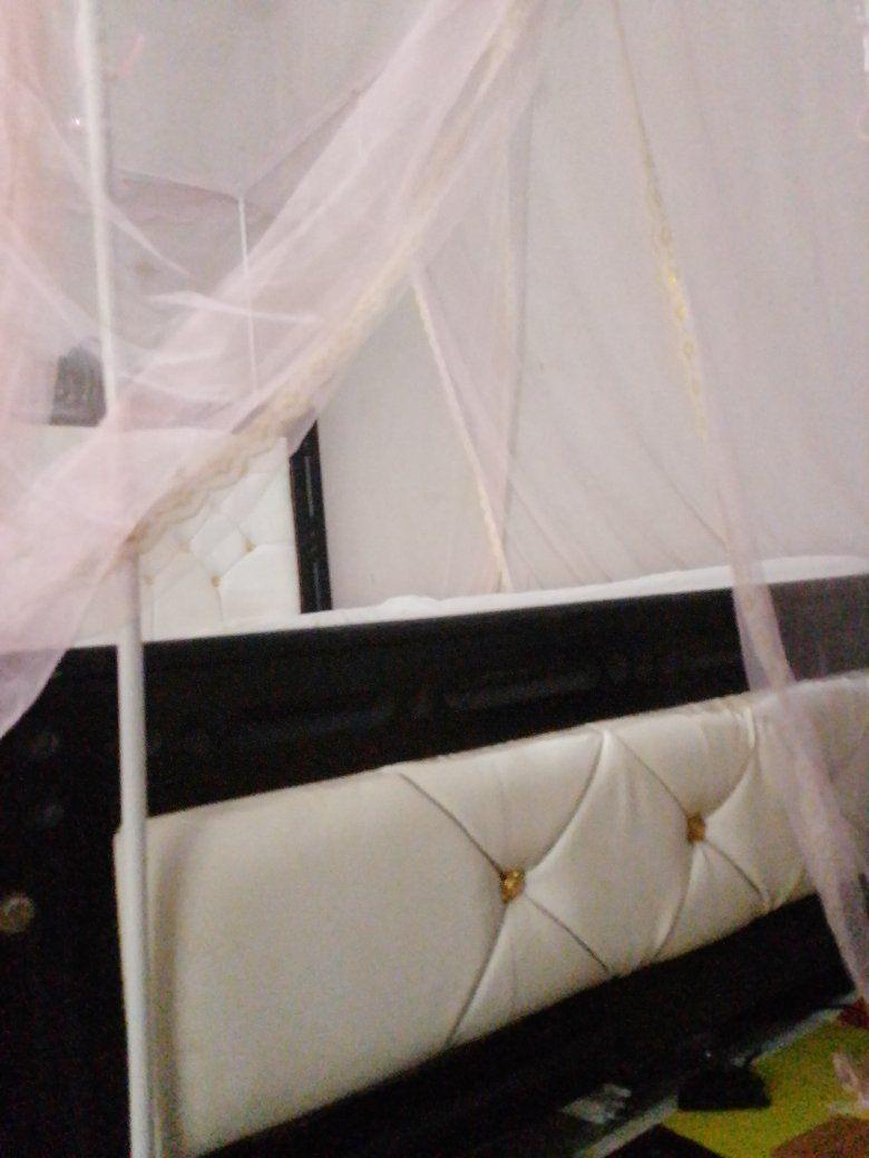 A picture of Bed plus the net
