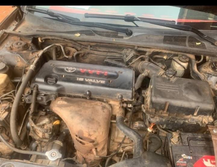 A picture of  fastest finger